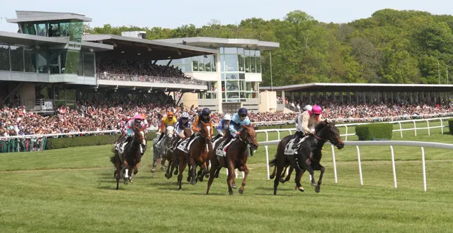 photo lion d’angers. rendez-vous le 18 mai pour la plus longue course d’obstacles du monde !