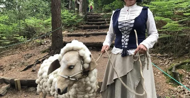 photo  en 2022, le festival avait fait son grand retour après deux années blanches en raison de la pandémie.  &copy;  archives ouest-france 