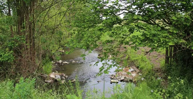 photo  redonner son caractère naturel au ruisseau de l’argance : un chantier de dix ans pour l’intercommunalité. les réalisations de la dernière phase des travaux seront dévoilées et expliquées par le service en charge du dossier, mercredi 17 mai 2023, à crosmières.  &copy;  ouest-france 