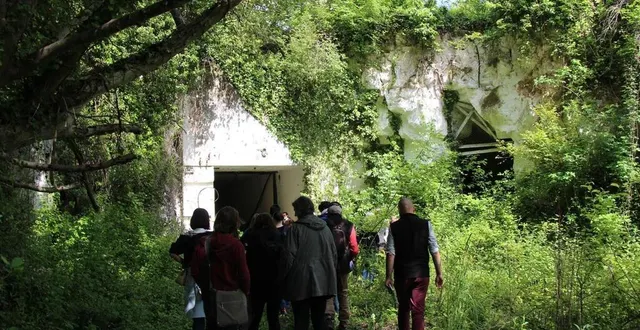 photo  après avoir connu plusieurs vies, façonné par l’homme, l’espace naturel sensible des pilliers, à luché-pringé (sarthe), abrite aujourd’hui une grande richesse de biodiversité.  &copy;  ouest-france 