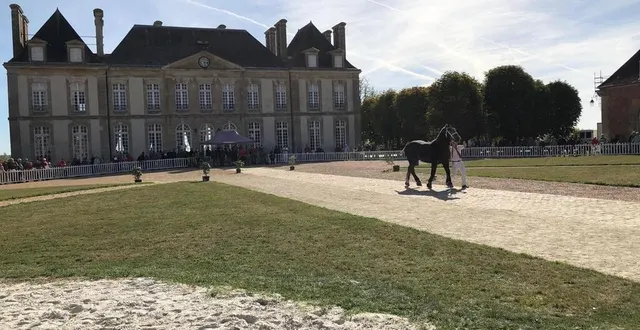 photo  selon les critères d’un projet de loi à l’étude au parlement, le haras du pin pourrait un jour avoir son casino.  &copy;  archives ouest-france 