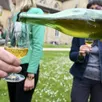 photo ce week-end, dix-neuf domaines seront présents au salon des vins sarthois à l’abbaye de l’epau