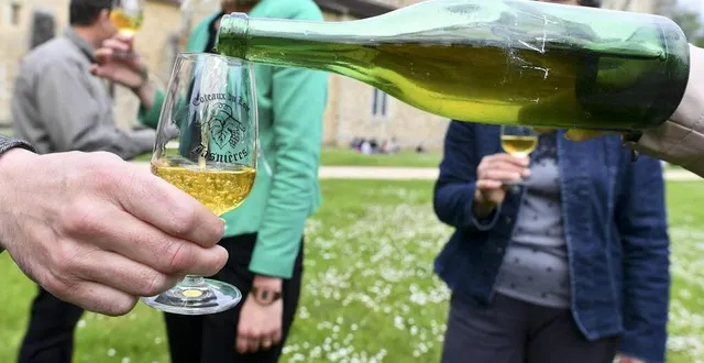 photo  ce week-end, dix-neuf domaines seront présents au salon des vins sarthois à l’abbaye de l’epau  &copy;  archives le maine libre – hervé petitbon 