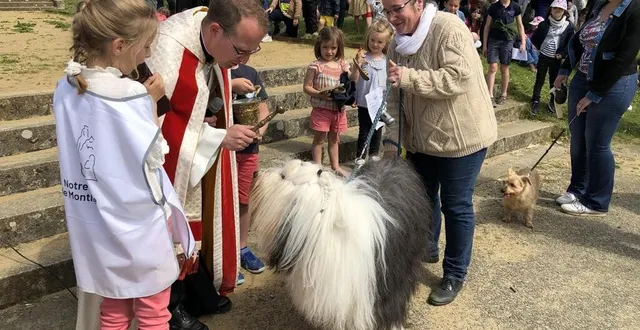 photo  le sanctuaire notre-dame de montligeon a organisé une bénédiction d’animaux, samedi 20 mai 2023.  &copy;  ouest-france 