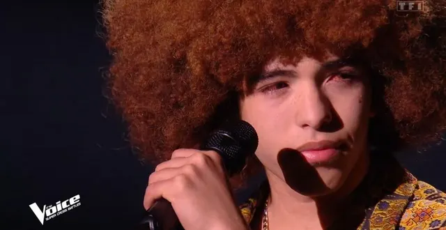 photo  l’aventure the voice se termine pour benaël, le lycéen ornais.  &copy;  capture d’écran tf1 