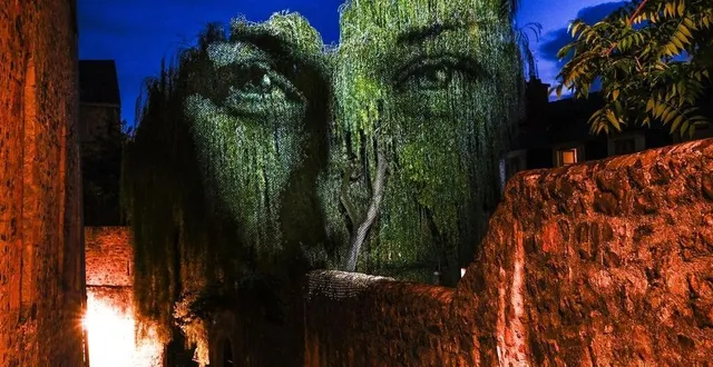 photo  de nouveaux visages orneront les arbres du vieux mans.  &copy;  archives le maine libre – denis lambert 