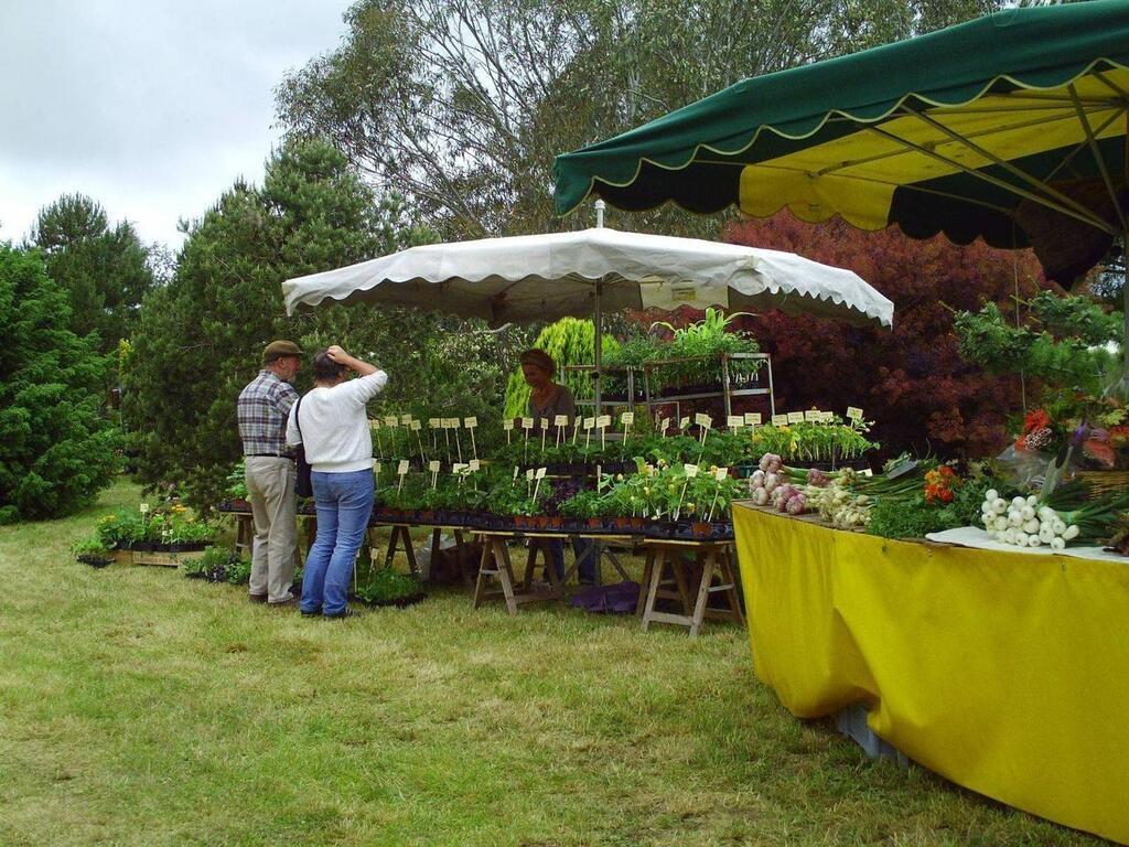 À Bouillé Courdault 14e édition de la Fête des plantes pour lassociation Vivre la vie La