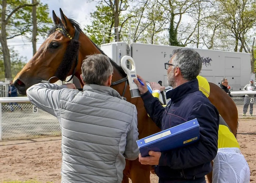 À l’hippodrome des Hunaudières, le vétérinaire a un rôle capital