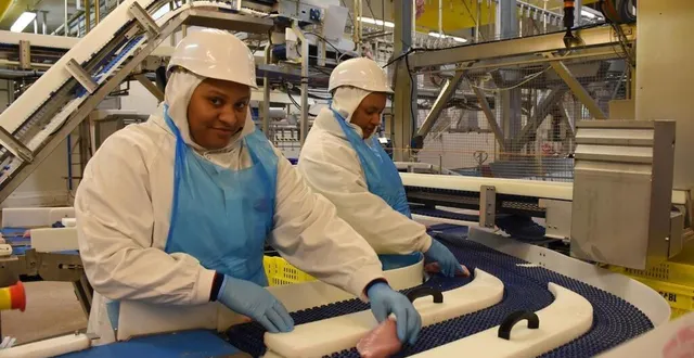 photo  à l’unité dindes de ldc, sur le site saint-laurent, à sablé-sur-sarthe.  &copy;  le maine libre 