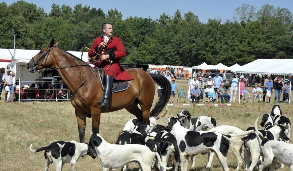 Pr s de Saumur. La F te de la chasse de Vernoil le Fourrier de