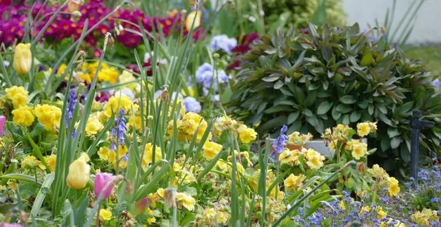 photo  le concours comporte six catégories afin de l’ouvrir au plus de monde possible. (photo d’illustration)  &copy;  archives ouest-france 