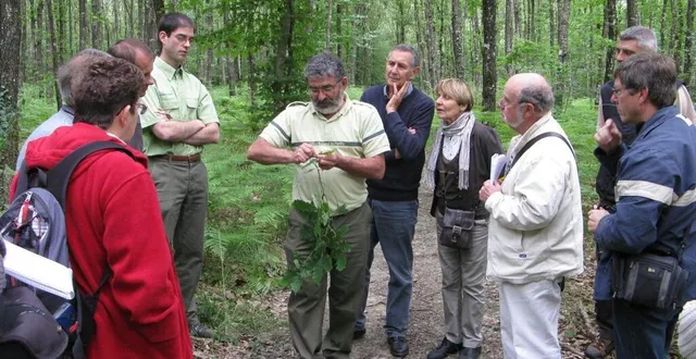 photo  une balade en forêt de perseigne est proposée samedi 27 mai 2023 sur le thème de la géologie.  &copy;  archives ouest-france 