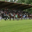photo sept courses de trot monté sont programmées à mamers, ce lundi. en clôture de la réunion, un peu plus insolite, une course de percherons.