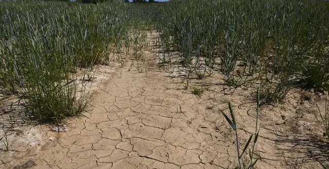 photo  des nouvelles mesures pourraient être prises si la sécheresse continue.  &copy;  archives denis lambert 