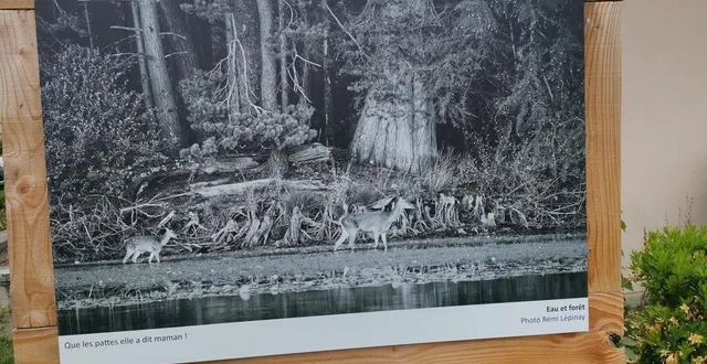 photo  la photo est exposée dans le bourg.  &copy;  ouest-france 