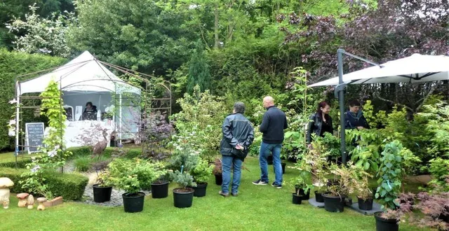 photo  exposition vente de rosiers aux jardins de la mansonière ce week-end.  &copy;  ouest-france 