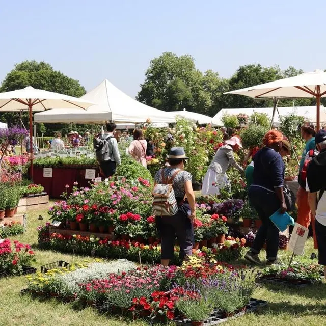 photo des milliers de variétés de plantes sont en vent à la fête des jardiniers au château du lude.  ©  ouest-france