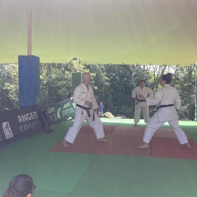 photo des démonstrations et initiations de sports de combat étaient proposées.  ©  ouest-france