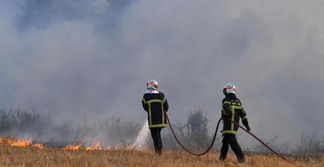 photo  les pompiers sarthois sont intervenus pour plusieurs feux d’espaces naturels ce jeudi 8 juin.  &copy;  archives presse océan 
