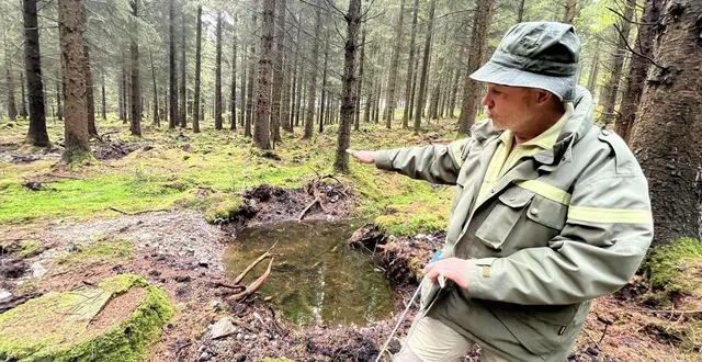 photo  technicien à l’onf, jean-yves simon a créé des tourbières en forêt d’écouves.  &copy;  ouest-france 