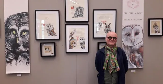 photo  pierre-yves bonnot : « entre bocage et montagne, l’espace naturel sensible de la roche-d’oëtre est un écrin exceptionnel pour présenter une série de portraits de rapaces racés et représentatifs de la biodiversité de la suisse normande. »  &copy;  ouest-france 