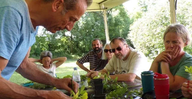 photo  daniel echilley en pleinedémonstration de bouturage.  &copy;  co 