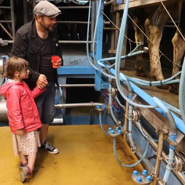 photo à l’heure de la traite des vaches de la métairie, les enfants comme abby, 5 ans, ont été invités à venir voir l’opération.  ©  ouest-france
