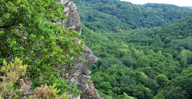 photo  l’ultra trail de la roche-d’oëtre aura lieu le dimanche 15 octobre 2023 avec 87 kilomètres et plus de 3 000 mètres de dénivelé positif au programme.  &copy;  archives 