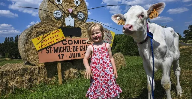 photo  saint-michel-de-chavaignes, mercredi 14 juin 2023. dans la commune, tout le monde ou presque est sur le pont pour que ce comice soit une réussite.  &copy;  le maine libre-denis lambert 