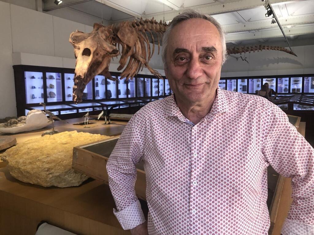 Grande transformation du muséum de Nantes : « En 2050, ce musée sera ...