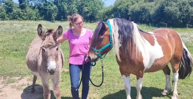 photo  au milieu des chevaux, le gîte s’impose en un lieu paisible et calme.  &copy;  co – thomas bertin 