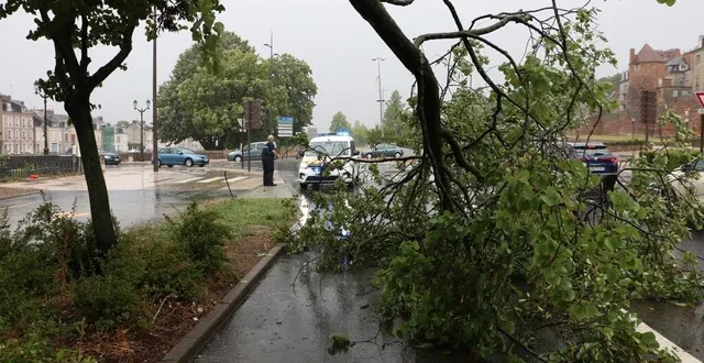 photo  au mans, quai louis-blanc, entre la sarthe et la muraille gallo-romaine, un arbre est tombé. la police municipale est intervenue pour sécuriser les lieux.  &copy;  ouest-france 