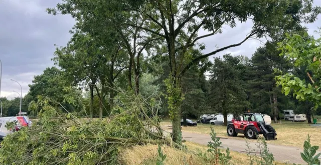 photo  promenade newton, au mans, un arbre est tombé pendant le passage de l’orage ce dimanche 18 juin.  &copy;  le maine libre 
