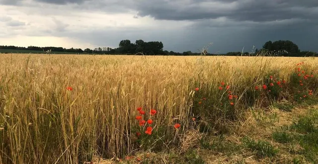 photo  il est tombé entre 9 et 38 millimètres en sarthe dans la journée du dimanche 18 juin 2023.  &copy;  le maine libre 