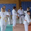 photo le judo-club a présenté des démonstrations.