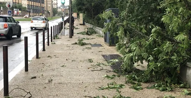 photo  chutes d’arbres, de branches, routes inondées : les violentes pluies qui se sont abattues le 18 juin sur le mans ont créé de multiples dégâts mineurs en sarthe.  &copy;  le maine libre 
