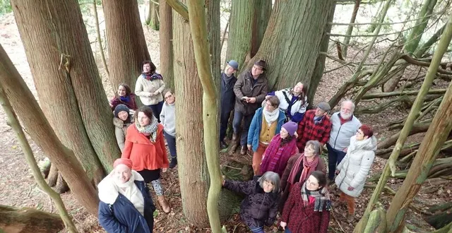 photo  chora’sons, lors d’un week-end de travail au tapis vert, en pause parmi les géants du parc.  &copy;  chora’sons 