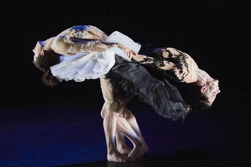À Ancenis, la saison du Théâtre quartier libre à découvrir au fil de l’eau À Ancenis, la saison du Théâtre quartier libre à découvrir au fil de l’eau