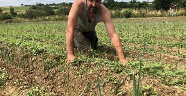 photo  florent rouillard appelle les volontaires à venir le rejoindre, lui et ses salariés, samedi 24 juin, à partir de 14 h et dimanche 25 juin 2023, toute la journée à la ferme du beury, situé au lieu-dit le-theil.  &copy;  le maine libre 