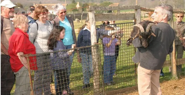 photo bazouges-cré-sur-loir. portes ouvertes aux crins verts, dimanche  &copy;  archive le maine libre 