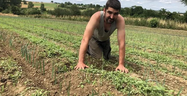 photo  florent rouillard tient à remercier les volontaires qui l’ont aidé à désherber sa parcelle. le maraîcher est touché par leur « geste spontané ».  &copy;  archive le maine libre 