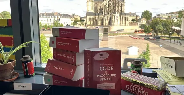 photo  face au manque d’effectif, « ce ne sont pas les plus dossiers lambda mais les plus graves qui sont mis de côté », reconnaît sébastien colombet, juge d’instruction au mans.  &copy;  ouest-france 