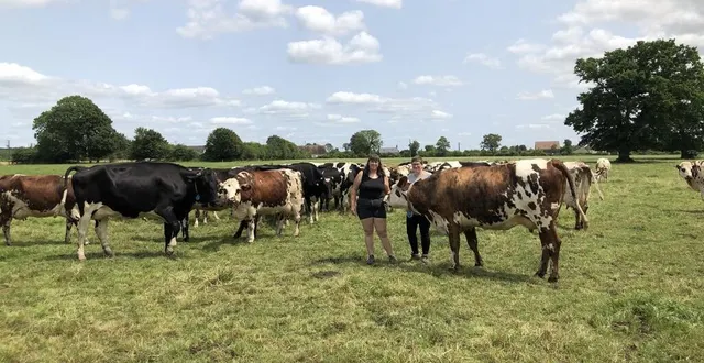 photo  estelle et maude quellier, parmi une partie du troupeau de la ferme des prairies normandes, composé en majorité de normandes reconnaissables à leur robe marron et blanc.  &copy;  ouest-france 