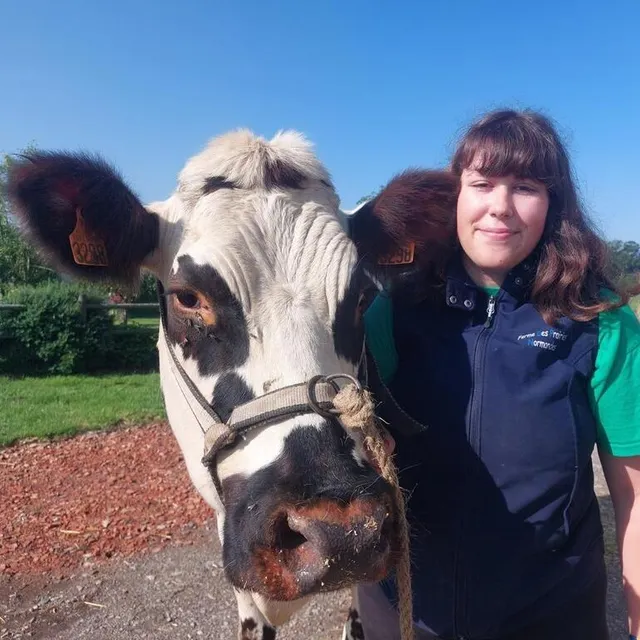 photo maude va conduire dpn party pour deux épreuves au concours national de la vache normande au haras du pin, samedi 1er juillet. le dimanche 2 juillet, c'est la jeune femme qui sera jugée au concours des présentateurs.  ©  d. r.