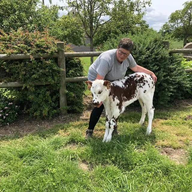 photo dpn une fleur, un veau de 15 jours que les enfants pourront caresser sur le stand de la ferme pédagogique.  ©  ouest-france