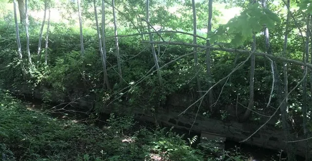 photo  les travaux d’aménagement autour du ruisseau du plancaïon ont commencé lundi 26 juin 2023.  &copy;  ouest-france 