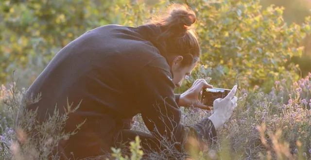 photo  le parc naturel régional normandie-maine souhaite créer un réseau d’observateurs de la biodiversité.  &copy;  parc naturel régional normandie-maine 
