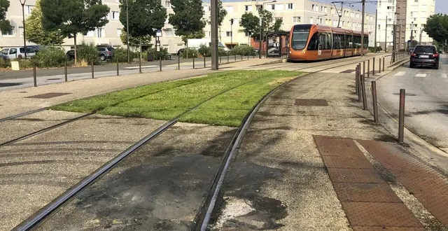 photo  au mans, le service de tramway devait être assuré jusqu’à 3h30, dans la nuit de samedi et dimanche.  &copy;  photo le maine libre -  yvon loue 