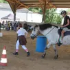 photo des baptêmes de poney seront proposés toute la journée.