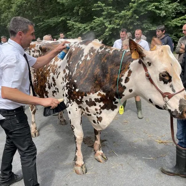photo une petite beauté avant d’aller défiler…  ©  ouest-france
